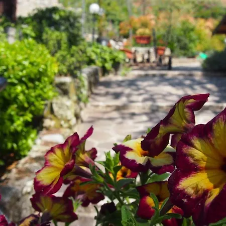 Casale Mammarella Apartment