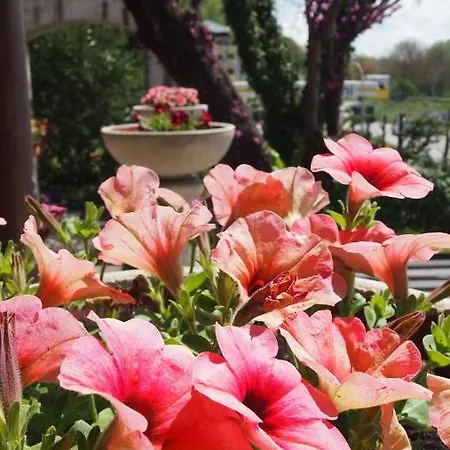 Casale Mammarella Apartment *