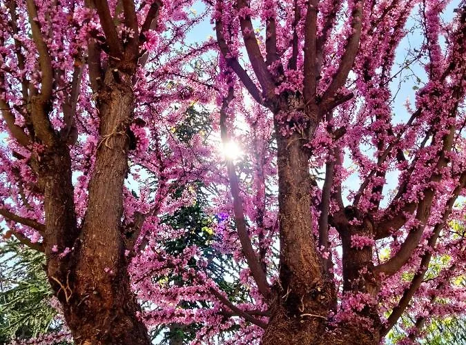 Casale Mammarella Appartamento LʼAquila