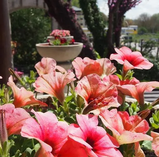 Casale Mammarella Daire *